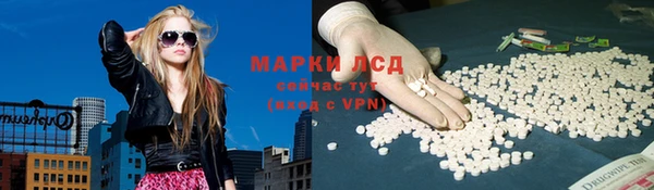 молекула духа Новозыбков