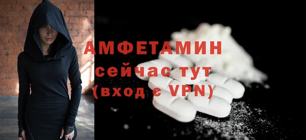 прущие грибы Абаза