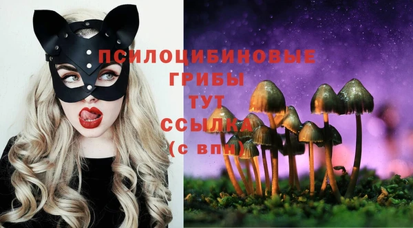 дурь Новодвинск