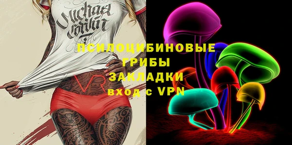 молекула духа Новозыбков